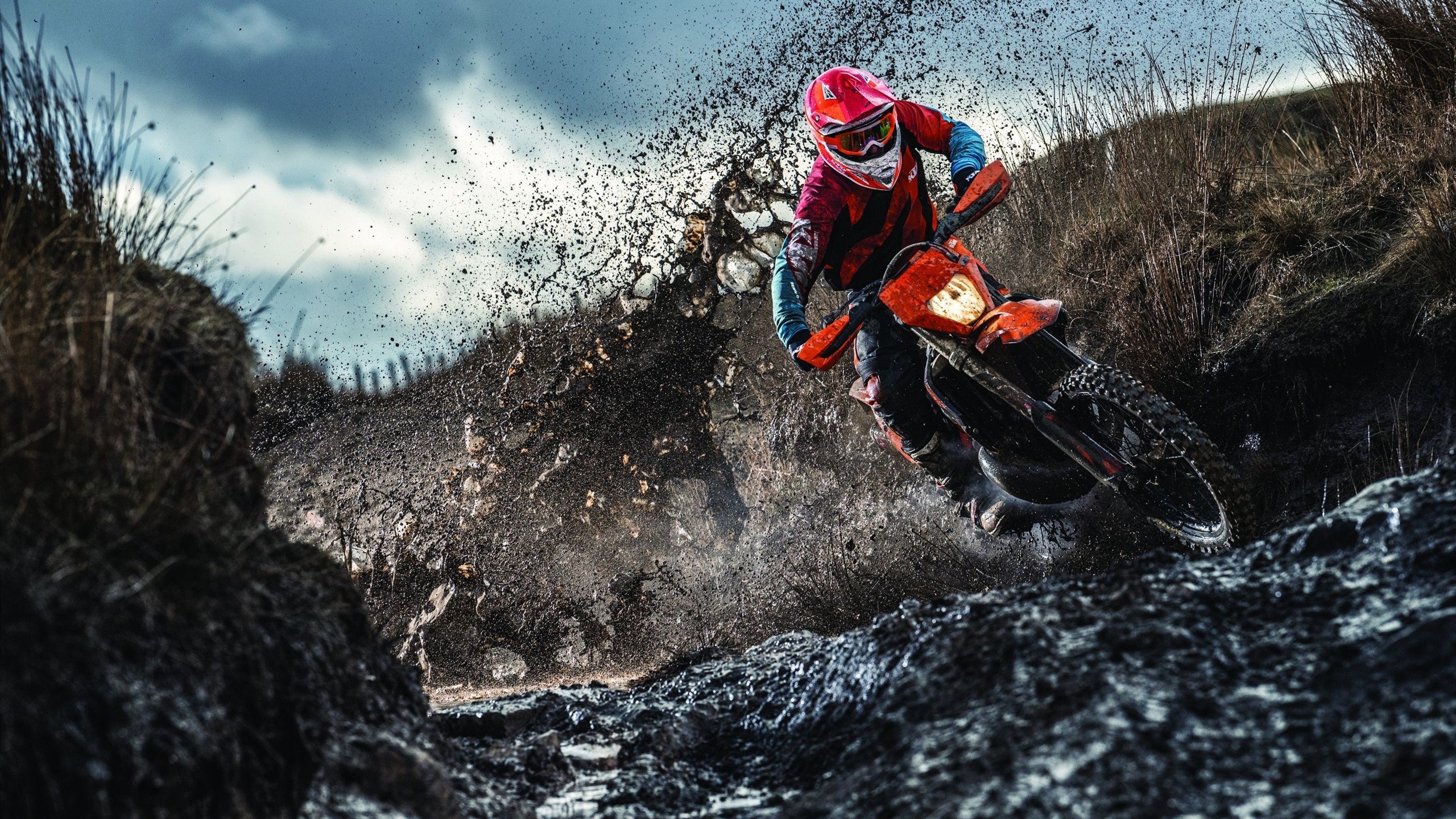 绿茵场上的横扫，乒乓台前的担当，葡萄牙足球与樊振东的领袖启示